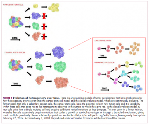 Tumor Heterogeneity A Central Foe In The War On Cancer Journal Of